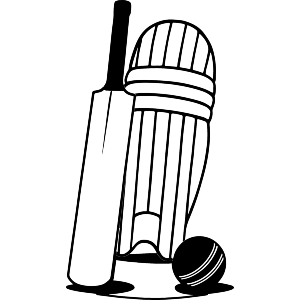 Cricket Essential Gear