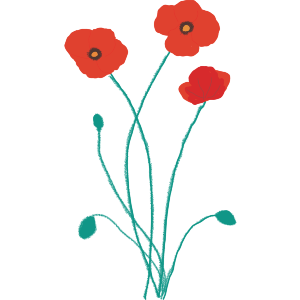 Poppies And Buds