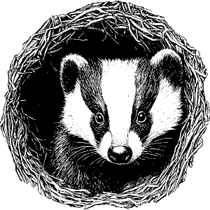 Badger in a Den 