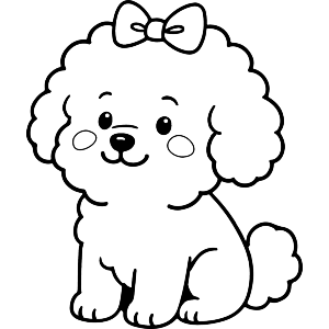 Cute Bichon Frise Dog