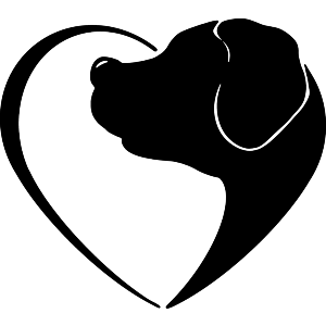 Dog Heart