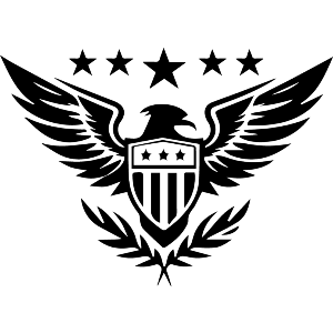 Patriotic American Eagle