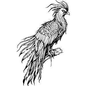 Majestic Phoenix