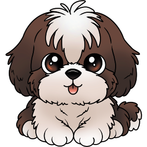 Cute Shih Tzu Dog