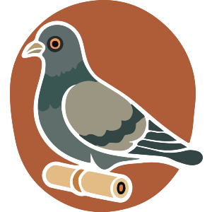 Carrier Pigeon