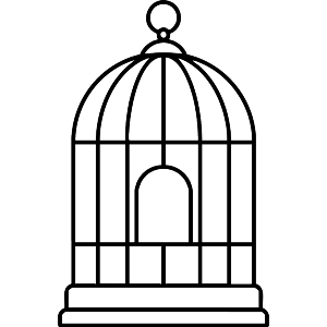 Bird Cage with door
