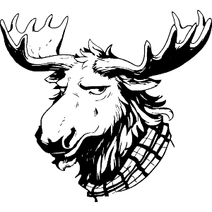 Moose with Scarf