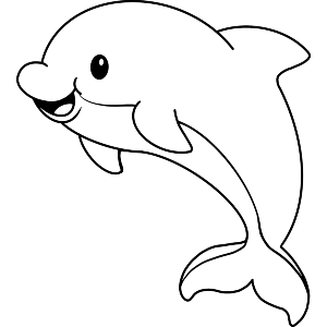 Baby Dolphin