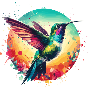 Colourful Hummingbird