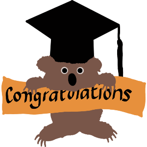 Graduation Koala Celebrating 