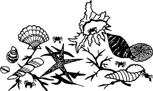 Sea Life