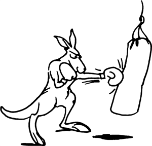 Boxing Kangaroo