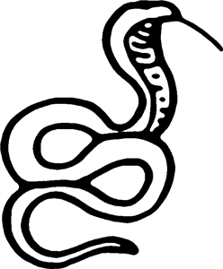 Cobra Snake