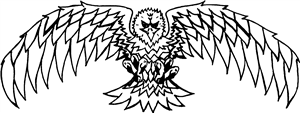 American Bald Eagle