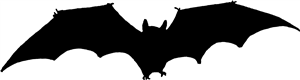 Bat