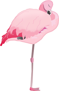 Sleeping Flamingo