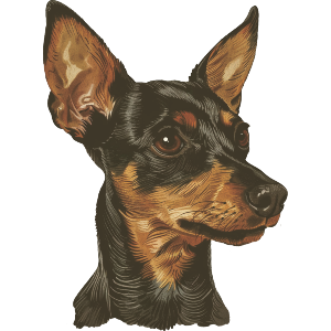 Miniature Pinscher
