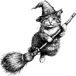 Halloween Cat Flying Broom