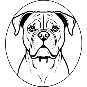 American Bulldog