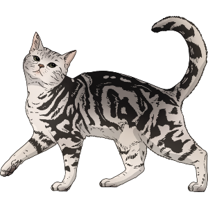 Prancing Gray Tabby Cat