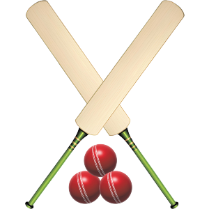 Cricket Bats and Balls