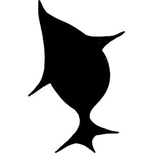 A Huge Fish