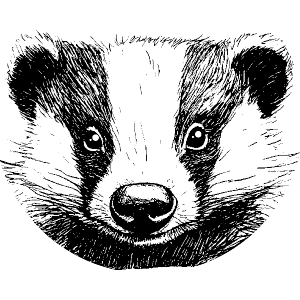 Badger Portrait