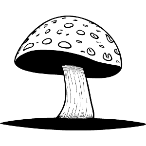 The Way Of The Mushroom