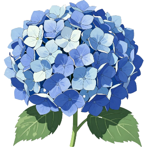 Blue Hydrangea