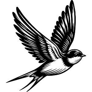 Swallow Bird In Flight