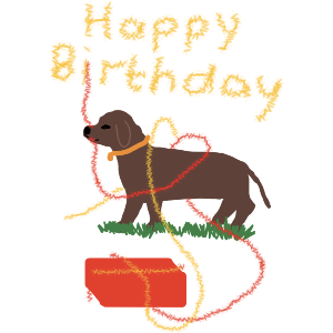 Happy Birthday From A Dachshund 