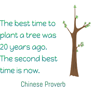 Best Time To Plant A Tree