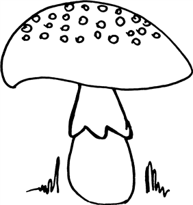 Mushroom