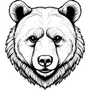 Bear Head