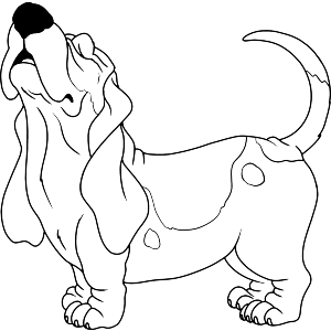 Basset Hound Howl