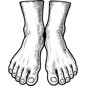 Human Feet