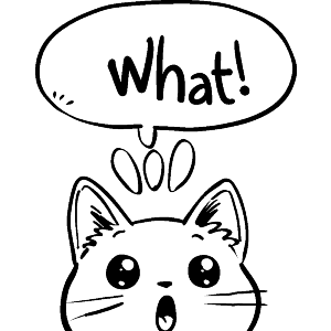 What Cute Surprised Cat