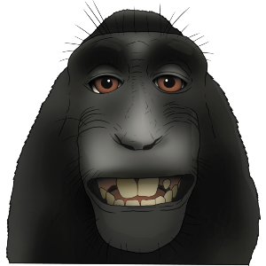 Monkey Selfie