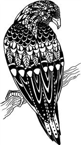 Bird Of Prey