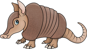 Armadillo