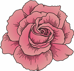 Pink Rose