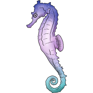 Tropical Seahorse