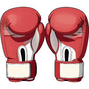 Boxing Gloves