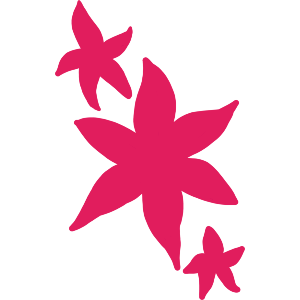 Vibrant Pink Flowers 