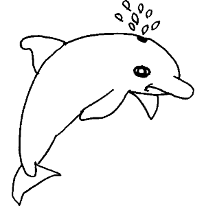 Dolphin