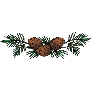 Pinecone Branch