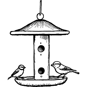 Bird Feeder 
