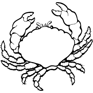 Seaside Crab