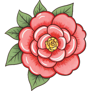 Blossoming Camellia