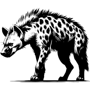 Hungry Hyena